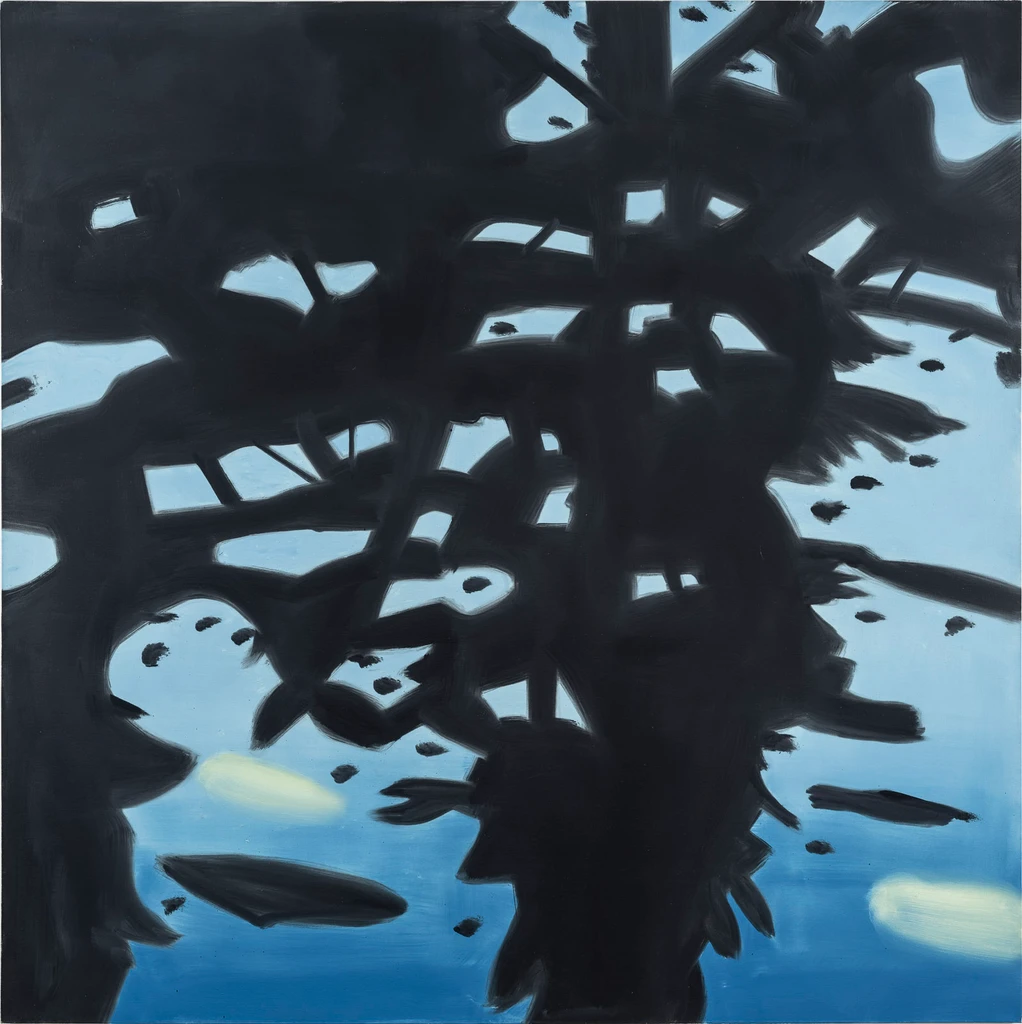 Reflection 5