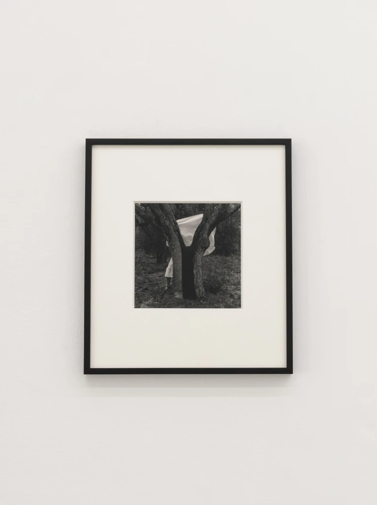 Untitled, Antella, Italy
